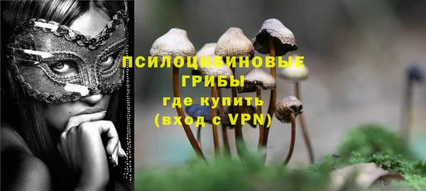 spice Балабаново