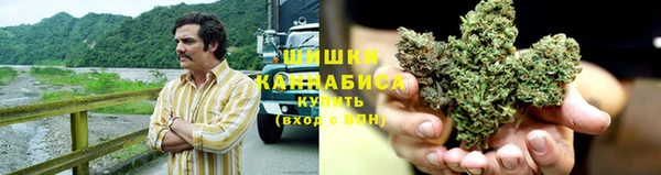 ГАЛЛЮЦИНОГЕННЫЕ ГРИБЫ Балахна