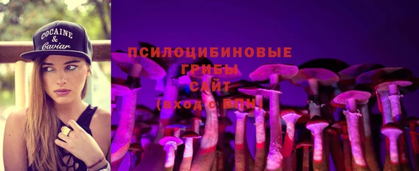 ГАЛЛЮЦИНОГЕННЫЕ ГРИБЫ Балахна